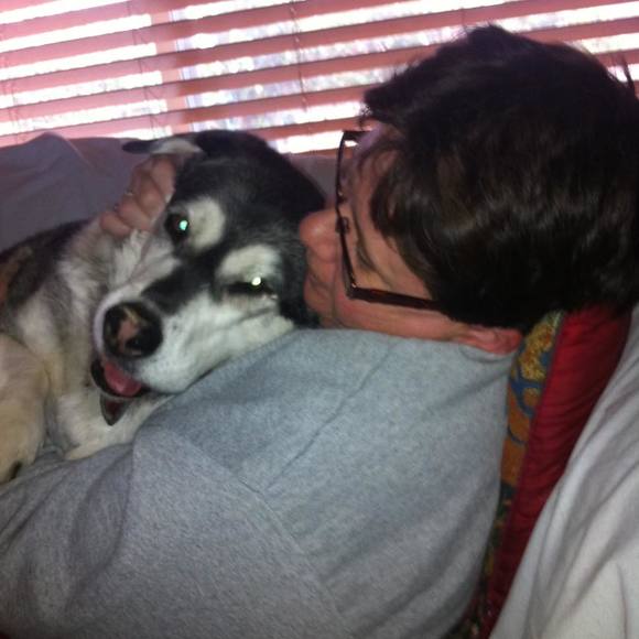 Meet your Posher, Polly - Picture 1 of 1